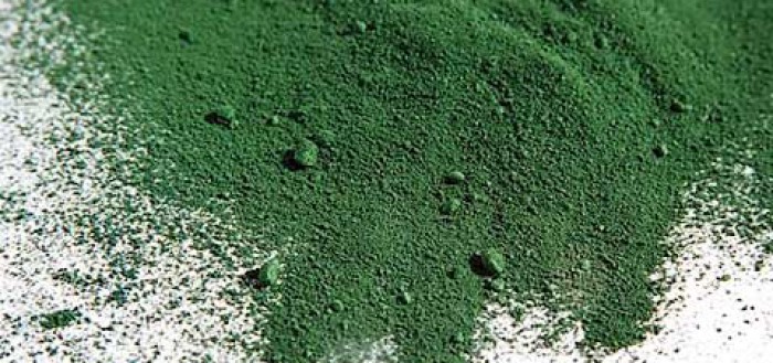 Spirulina-Powder